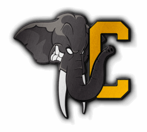 logo de l'adversaire de ce match