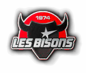 logo de Les Bisons de Neuilly sur Marne