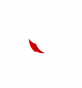 logo de Lyon